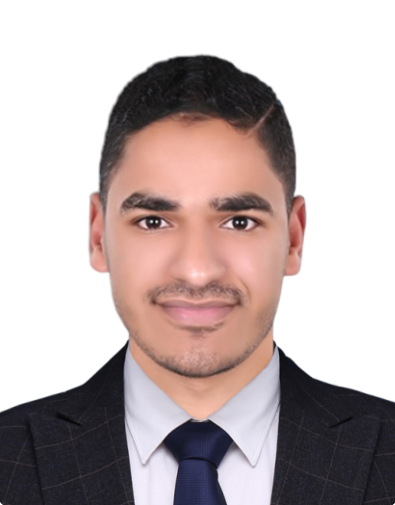 Mahmoud Ali Mahmoud Mohamed Elmaasrawy